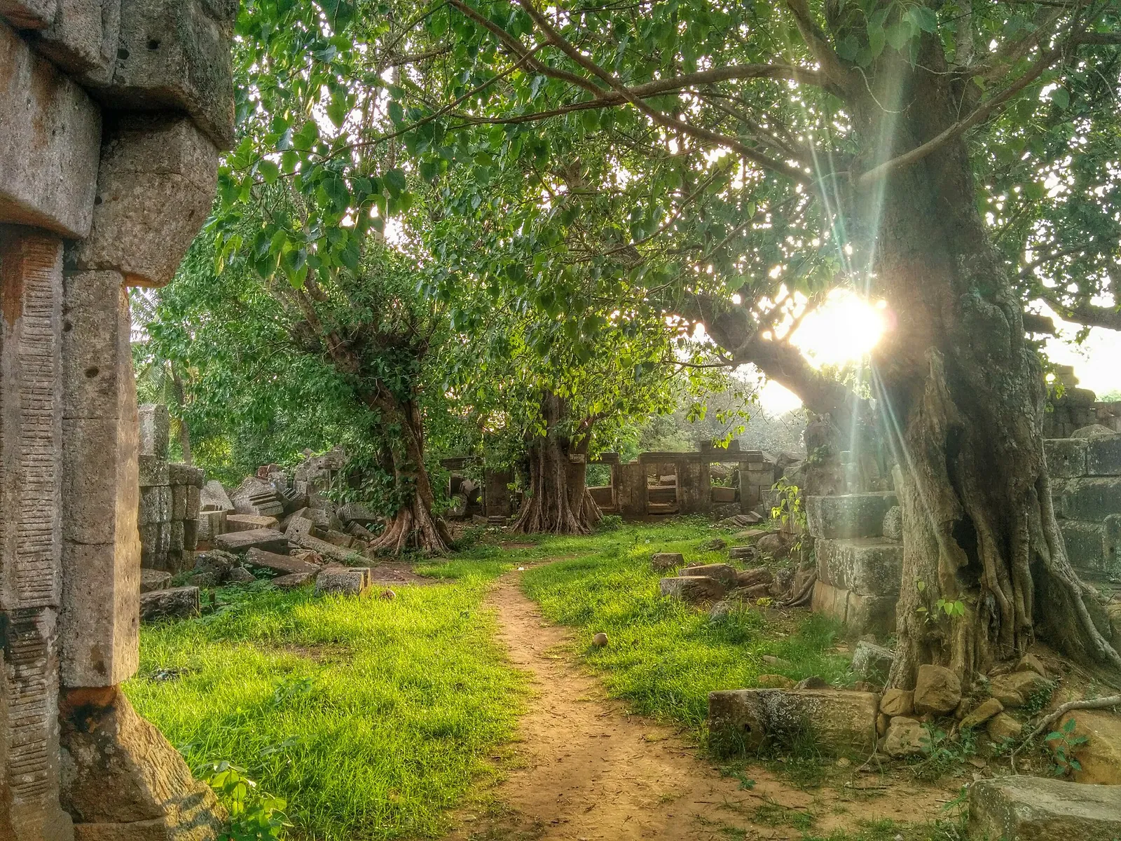 Sluneční světlo mezi stromy u ruin Prasat Aek Phnom