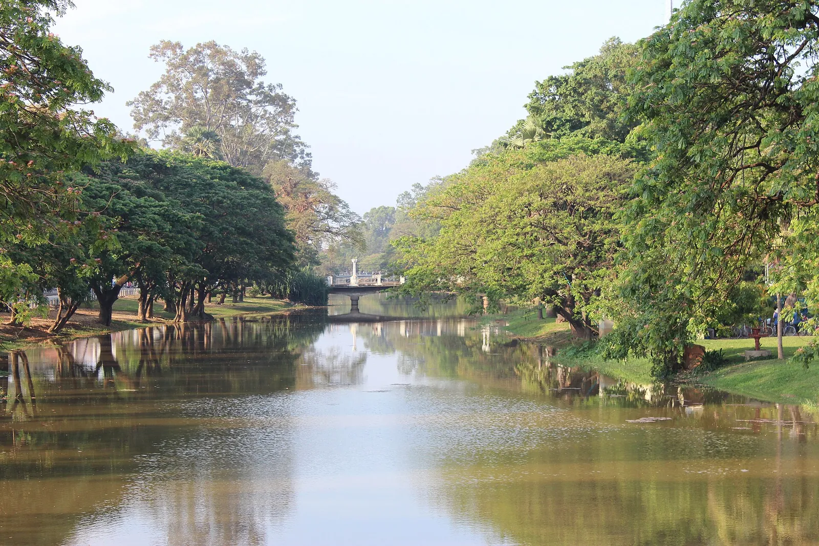 Trädkantade stränder vid Siem Reap-floden