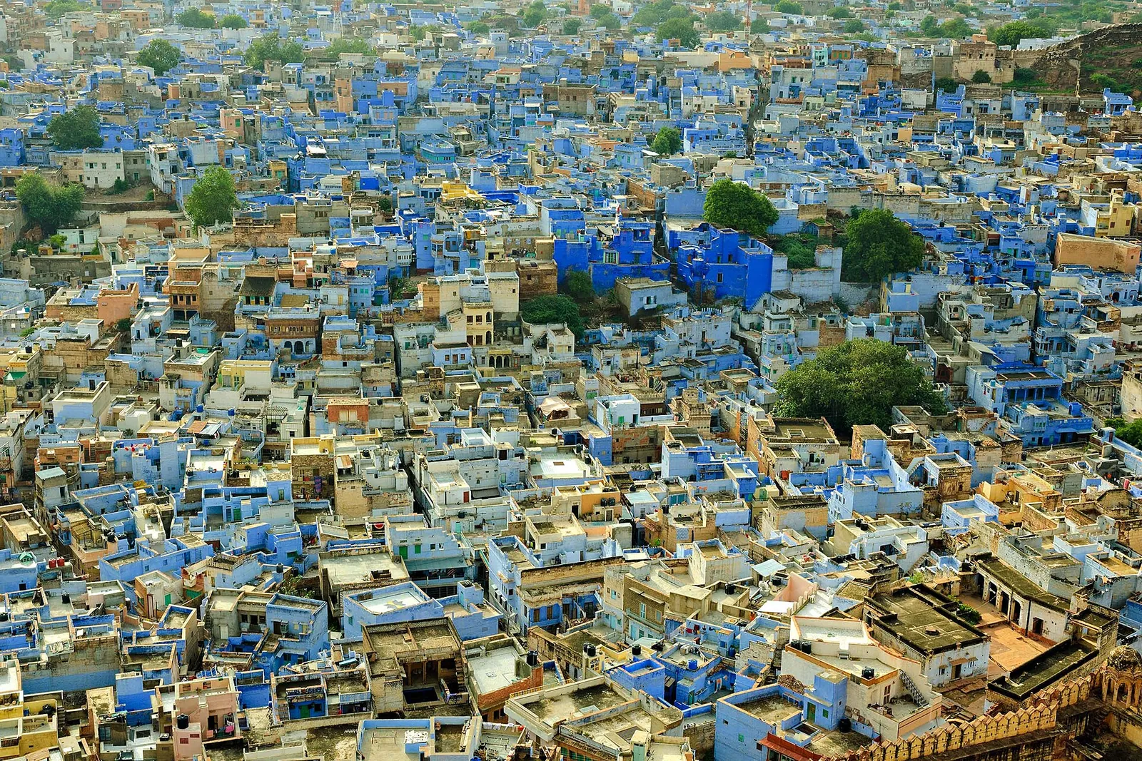 Casas encaladas de azul de la ciudad vieja de Jodhpur vistas desde arriba