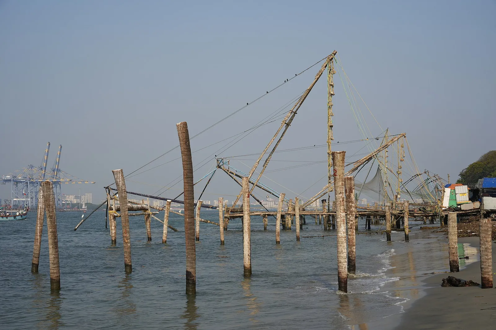 Năvoade chinezești pe cadre de lemn de tec și bambus, în apă, în largul plajei din Fort Kochi