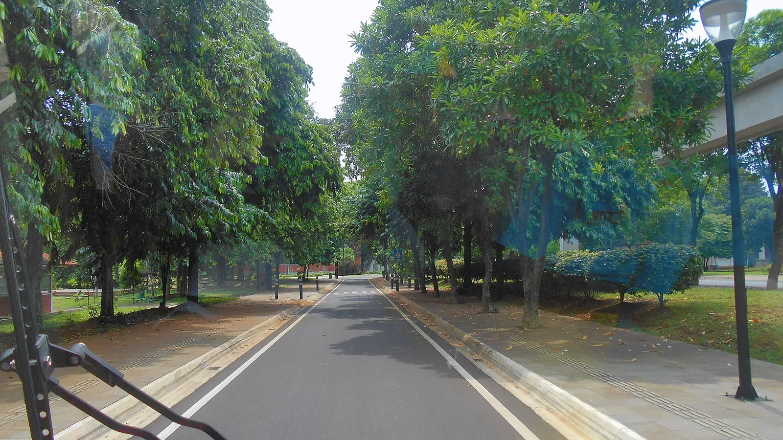 A broad paved road and pavement lined with trees at Taman Mini Indonesia Indah in East Jakarta