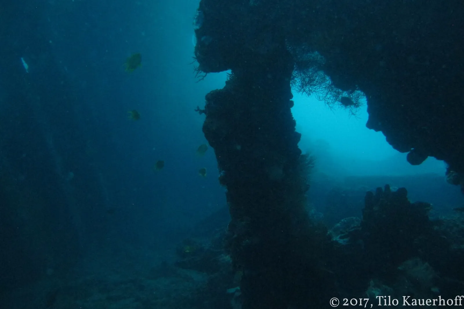 Underwater view through the open cargo hold of the USAT Liberty wreck, covered in coral