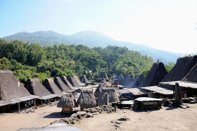 Rows of thatched clan houses in Bena village with forested hills behind