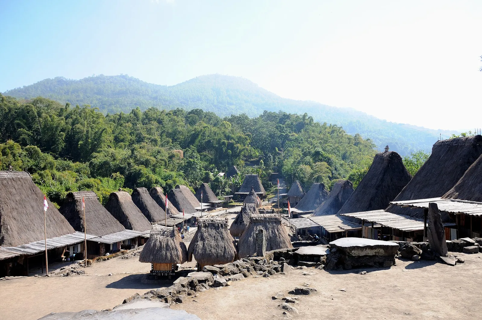 Rows of thatched clan houses in Bena village with forested hills behind