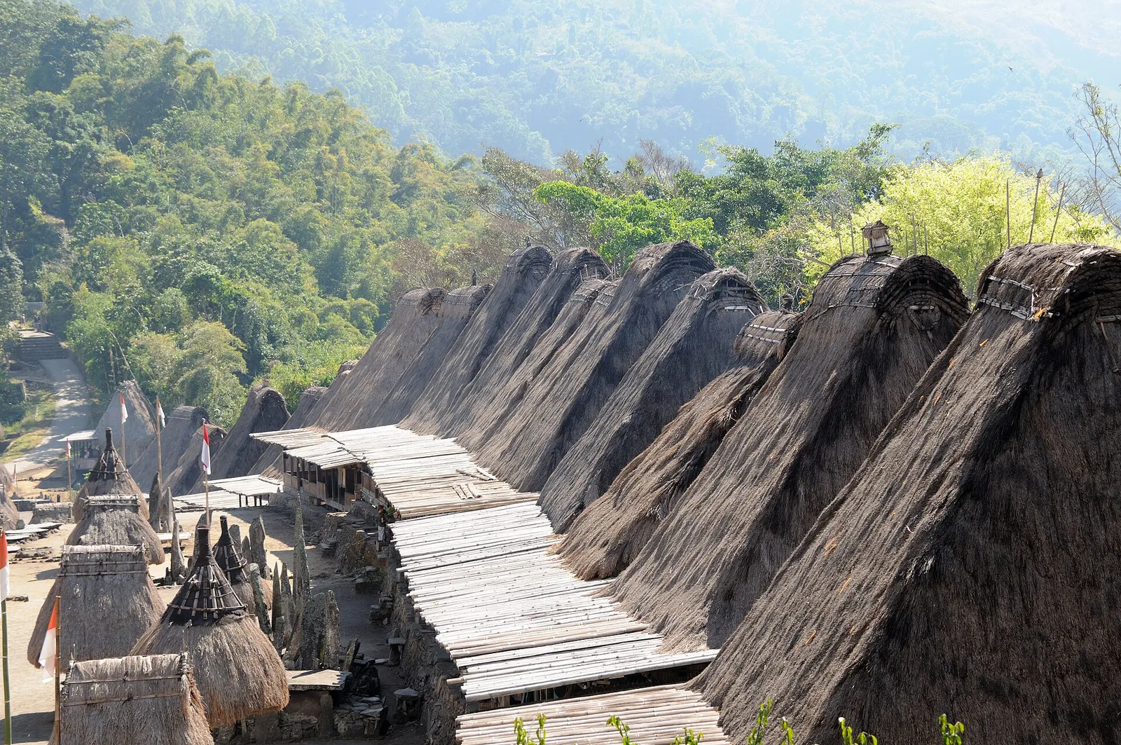 Steep thatched roofs and stone steps of traditional houses in Bena village