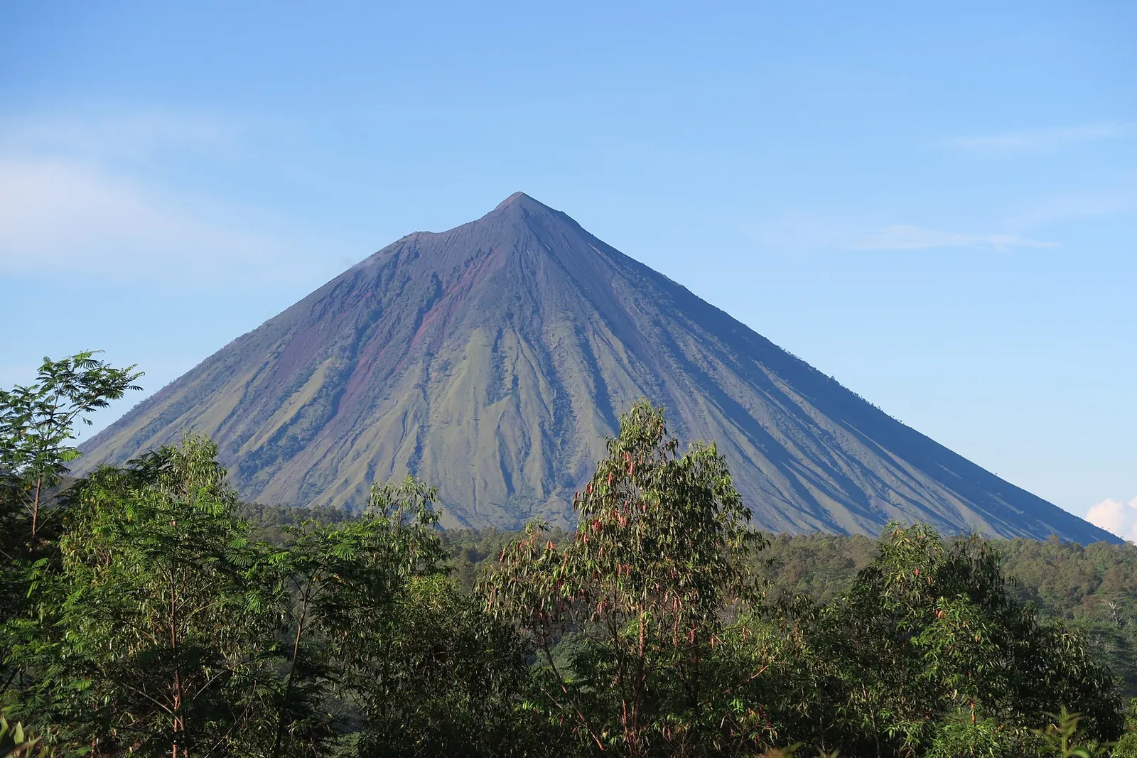 The symmetrical cone of Inerie volcano above green forest under a blue sky