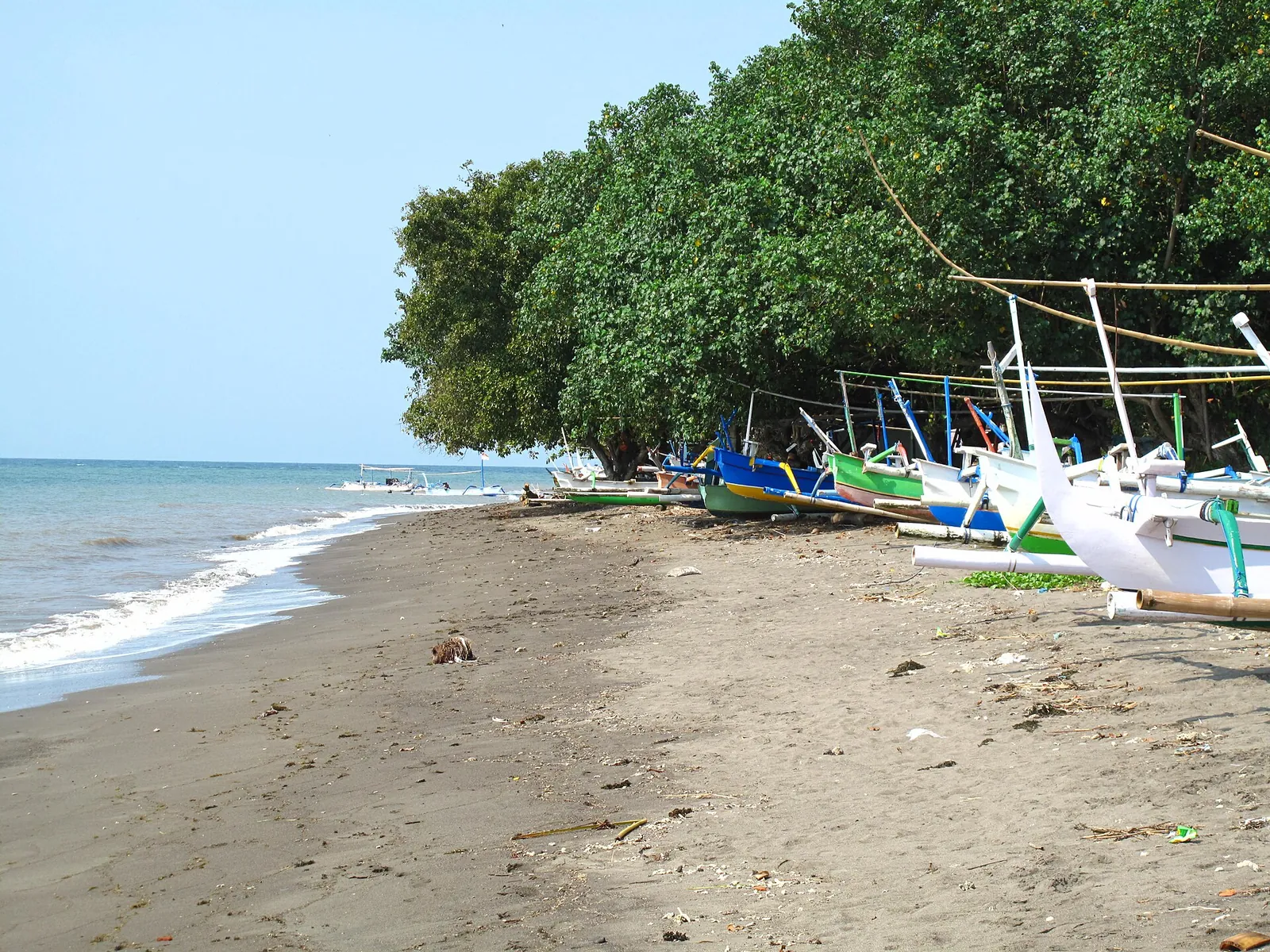 Brightly painted outrigger boats under trees on the shoreline at Lovina, with the sea to the left