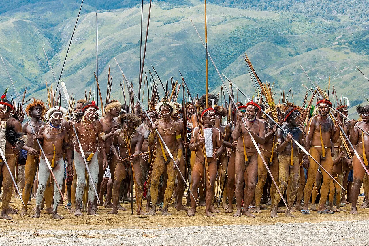 Dani warriors with long spears and feather headdresses lined up at the Baliem Valley Festival