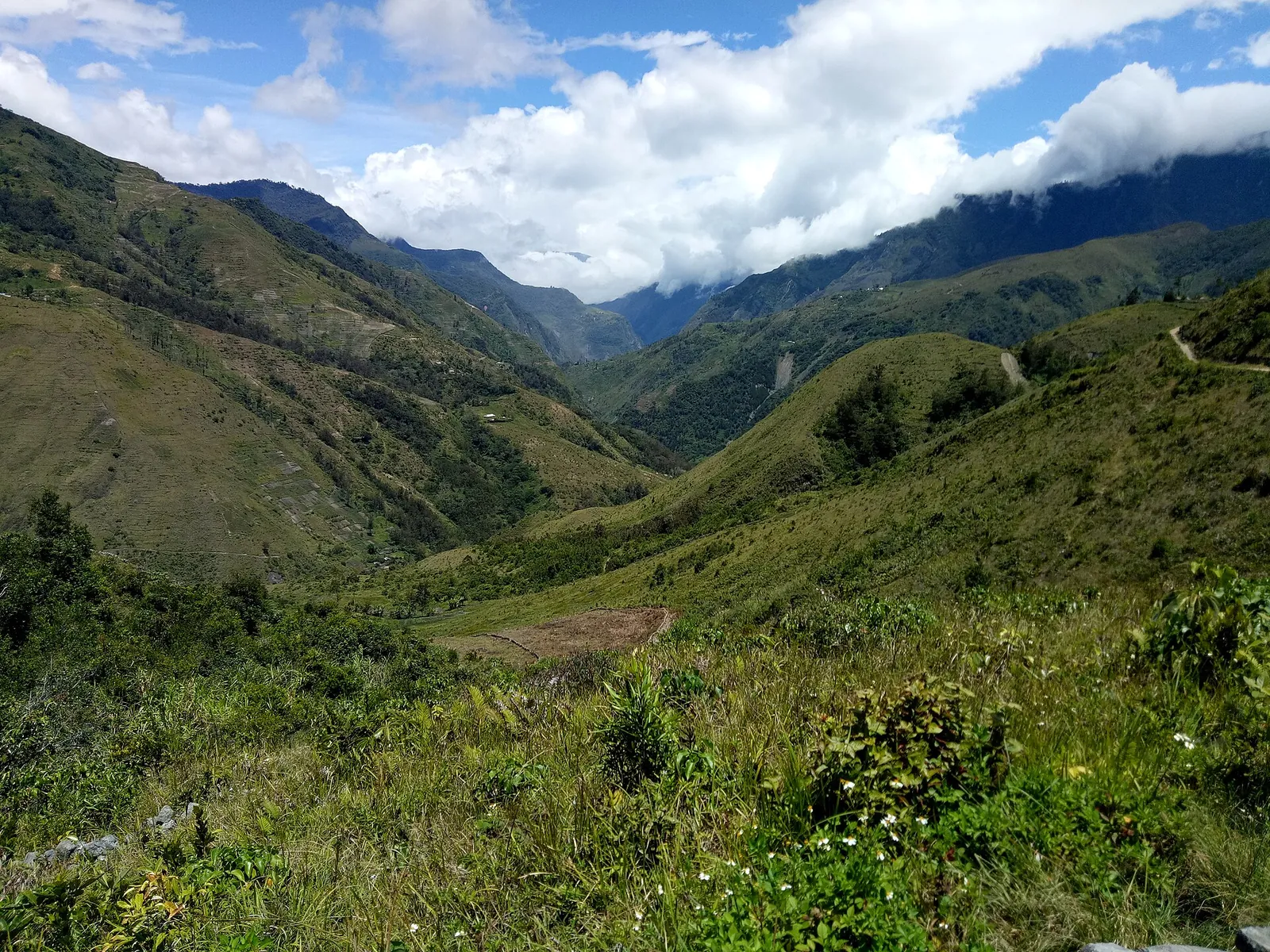 Green mountain valley with a winding path under clouds in the Baliem Valley