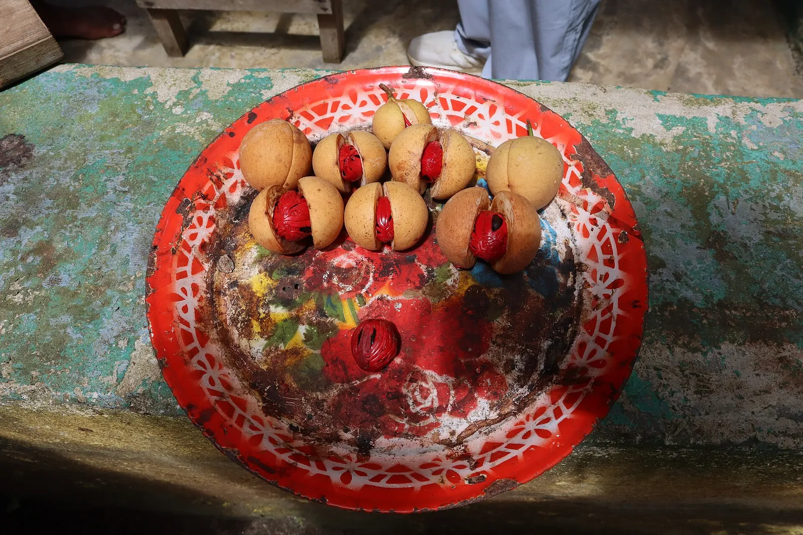 Halved nutmeg fruits with red mace on a decorated plate at the Lonthoir nutmeg garden