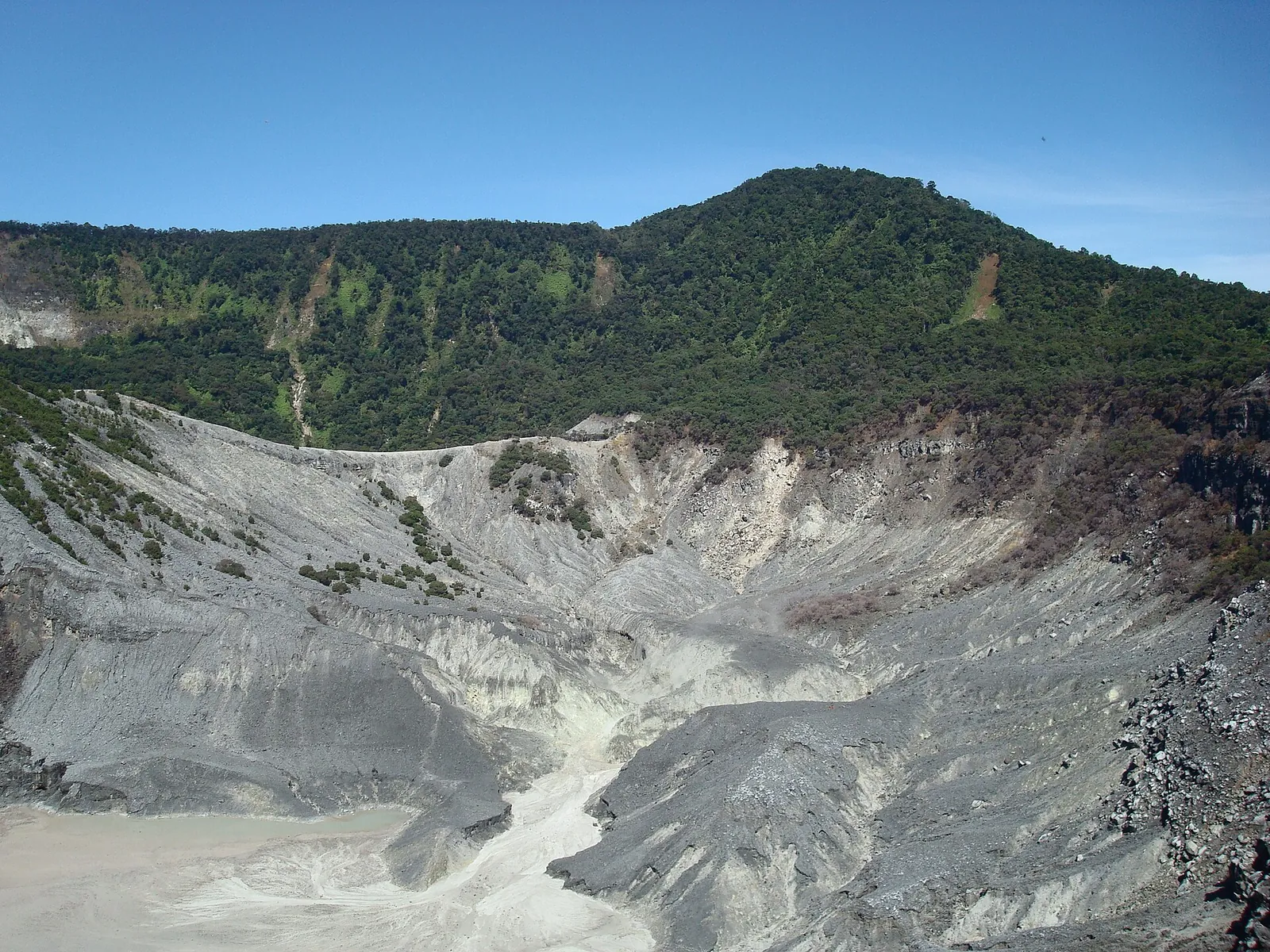 The grey, steaming crater of Tangkuban Perahu volcano north of Bandung, with forested slopes above
