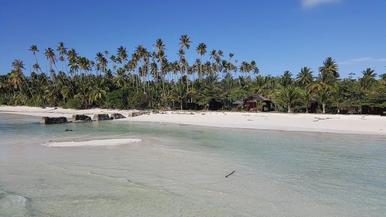 A palm-lined white-sand beach on Maratua Island seen across shallow water