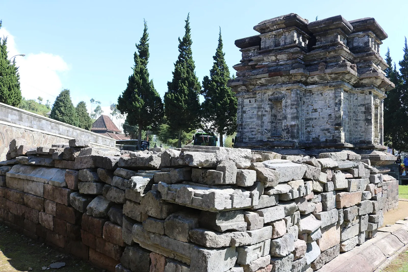 Square stone shrine of Candi Gatotkaca behind a low stone wall, with tall conifers and blue sky, Dieng Plateau