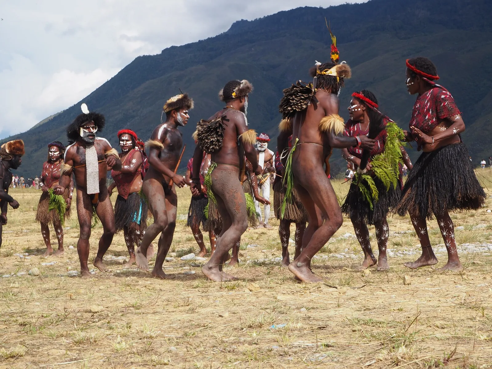 Dancers in feather headdresses and grass skirts performing on a dry field with mountains behind at the Baliem Valley Festival