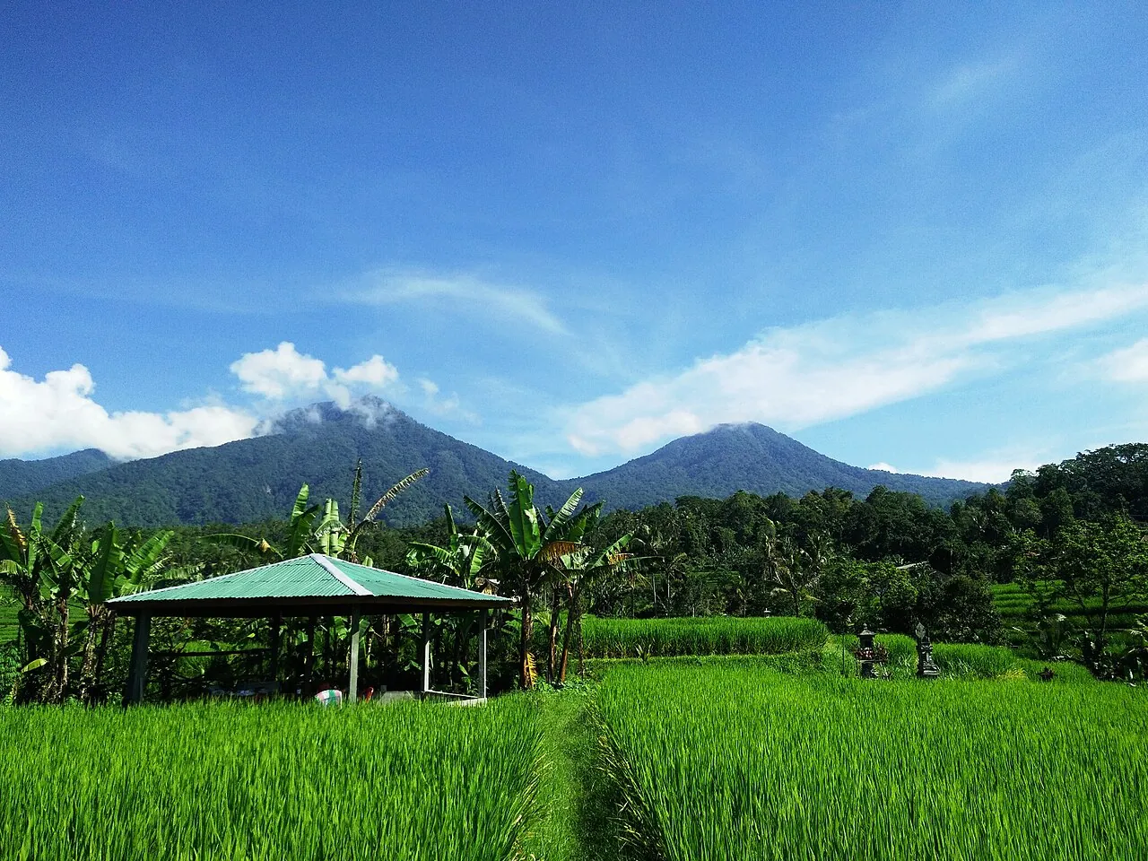 Green rice terraces at Jatiluwih in Bali with a small open-sided pavilion and volcanic mountains under a blue sky