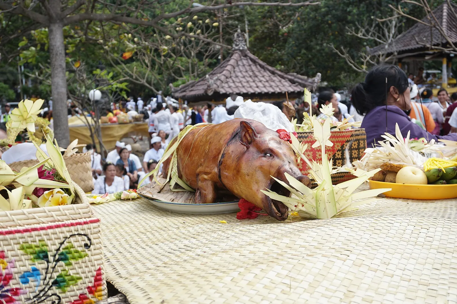 A whole roasted suckling pig set out with offerings at a Balinese temple ceremony