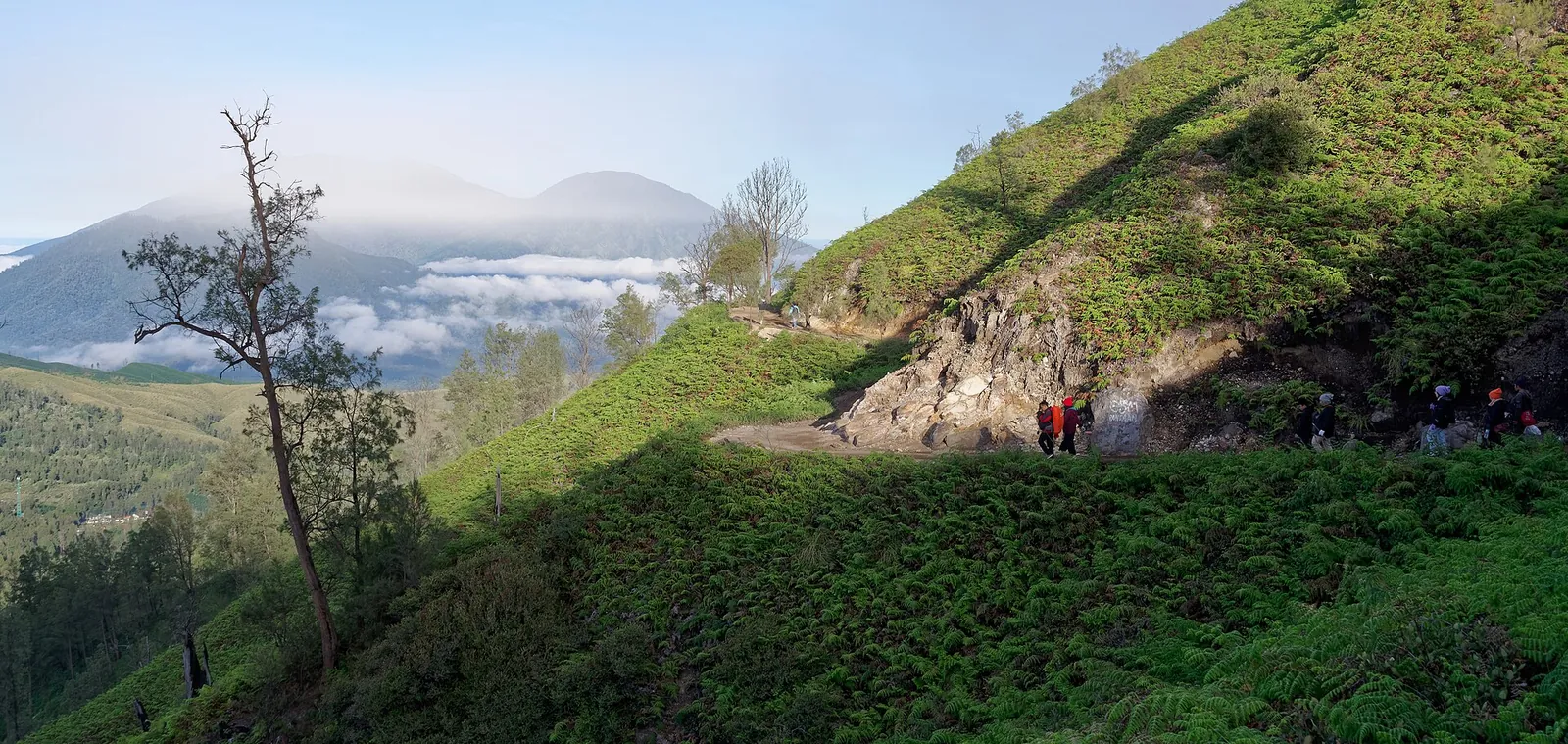 A grassy trail on the green upper slopes of Ijen, with Mount Raung rising above the clouds in the distance
