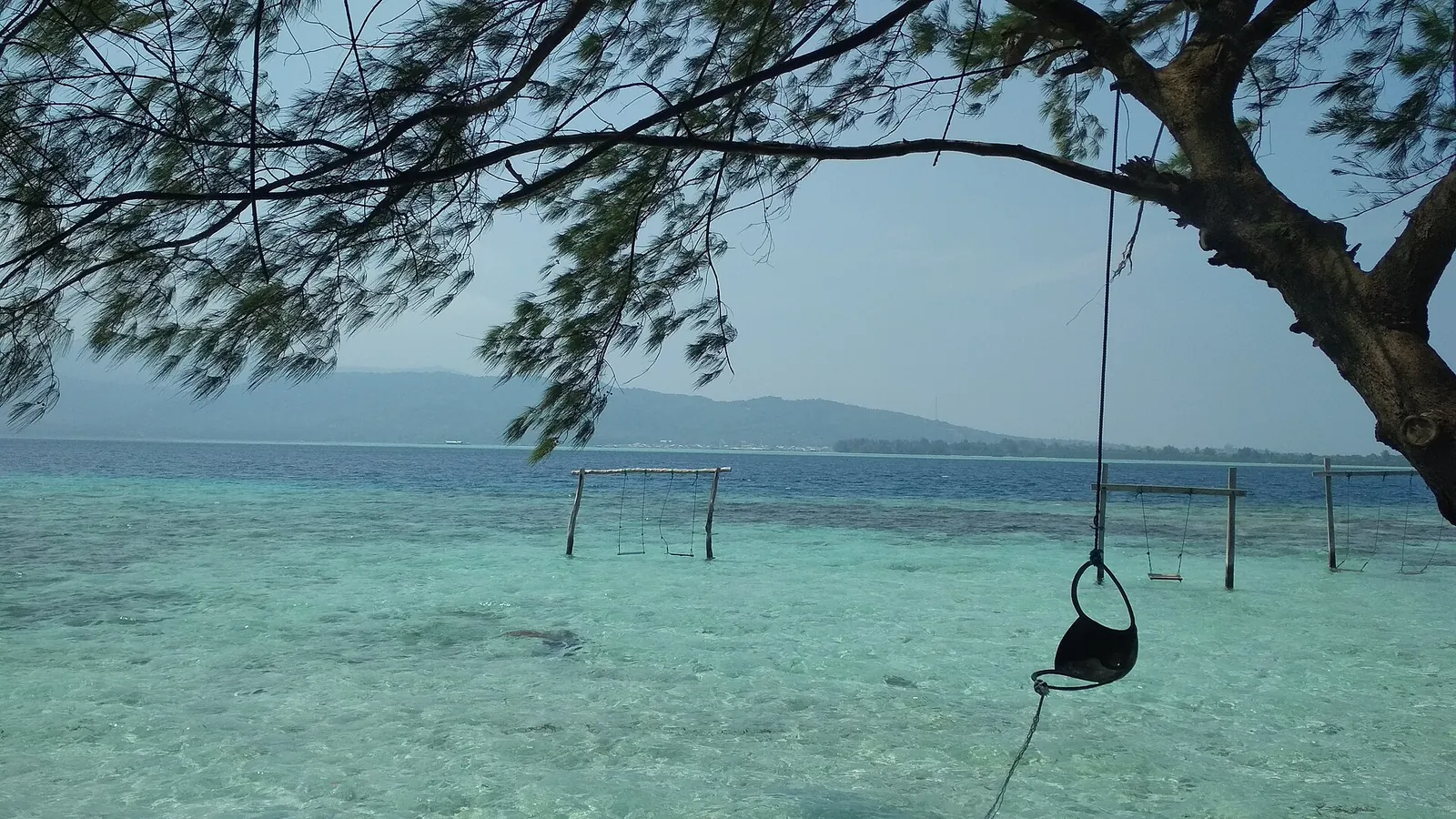 Clear shallow water and a rope swing under a tree on the shore of Menjangan Kecil island, Karimunjawa
