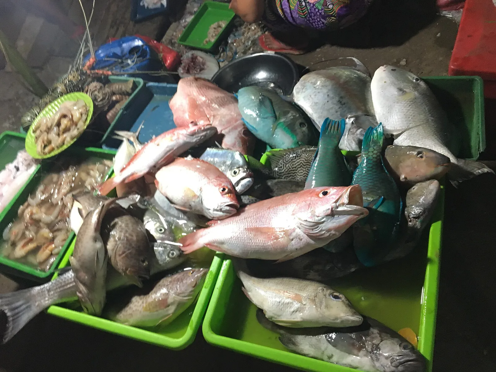 Fresh fish and seafood laid out in green trays at a night stall on the alun-alun in Karimunjawa town