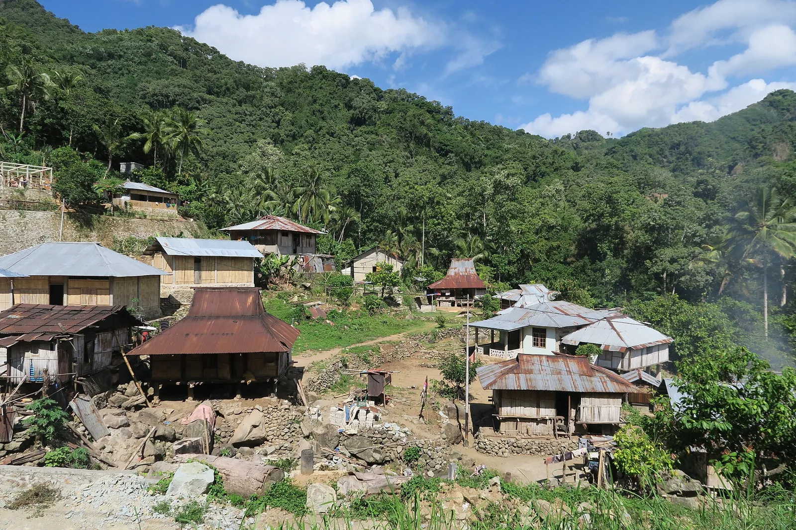 Houses with metal roofs on a forested hillside in a village east of Moni
