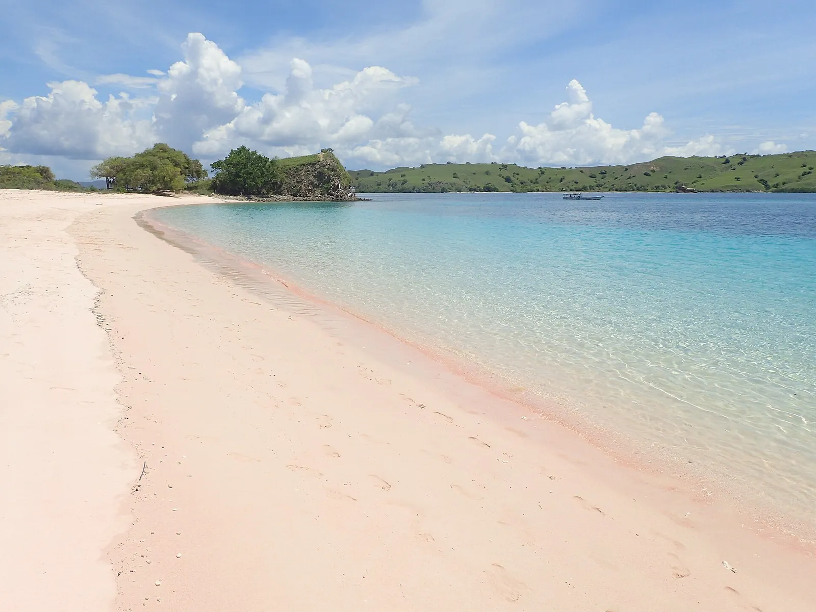 Pale pink sand curving along clear turquoise water at Pink Beach on Komodo Island