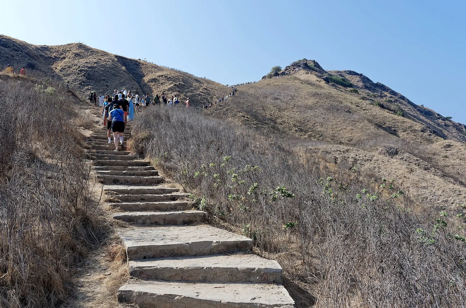 Hikers climbing a stone stairway through dry grass towards a ridge on Padar Island