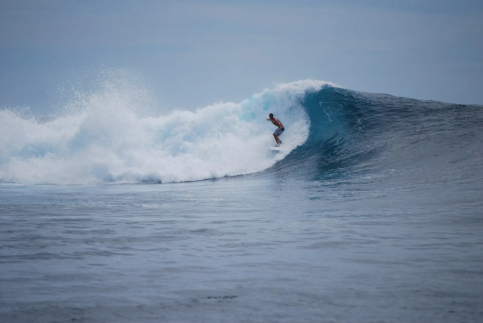 A surfer riding a breaking blue wave off the Mentawai Islands
