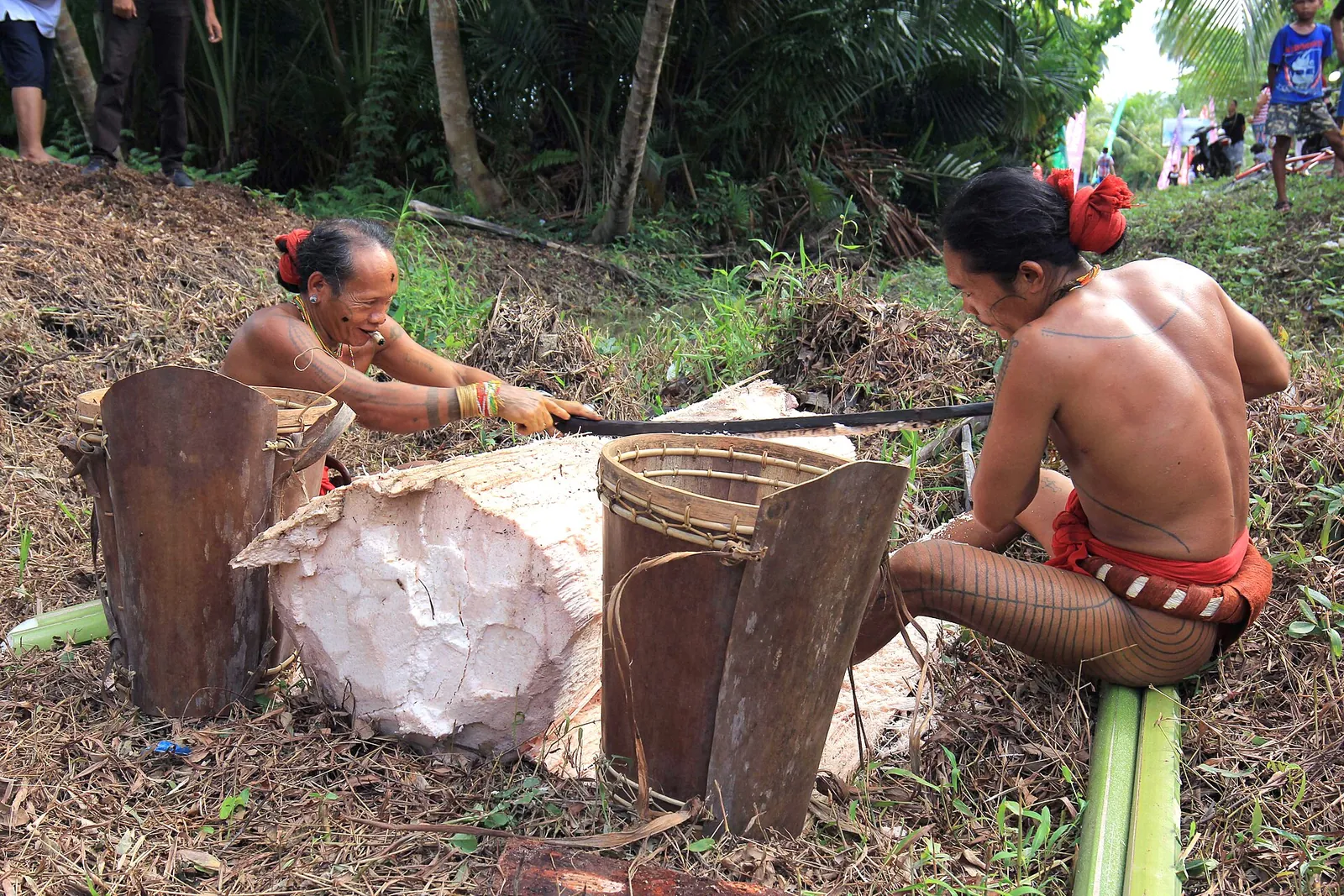 Two Mentawai men from Siberut grating sago pith by hand at a festival