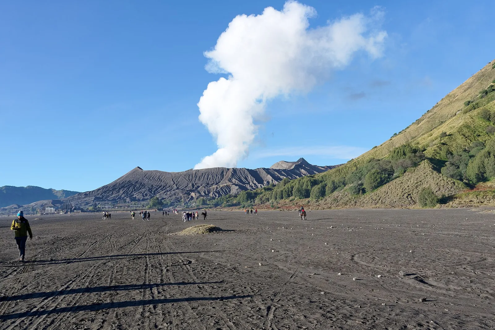 Walkers crossing the flat grey sea of sand towards Mount Bromo, with a white plume of steam rising from the crater