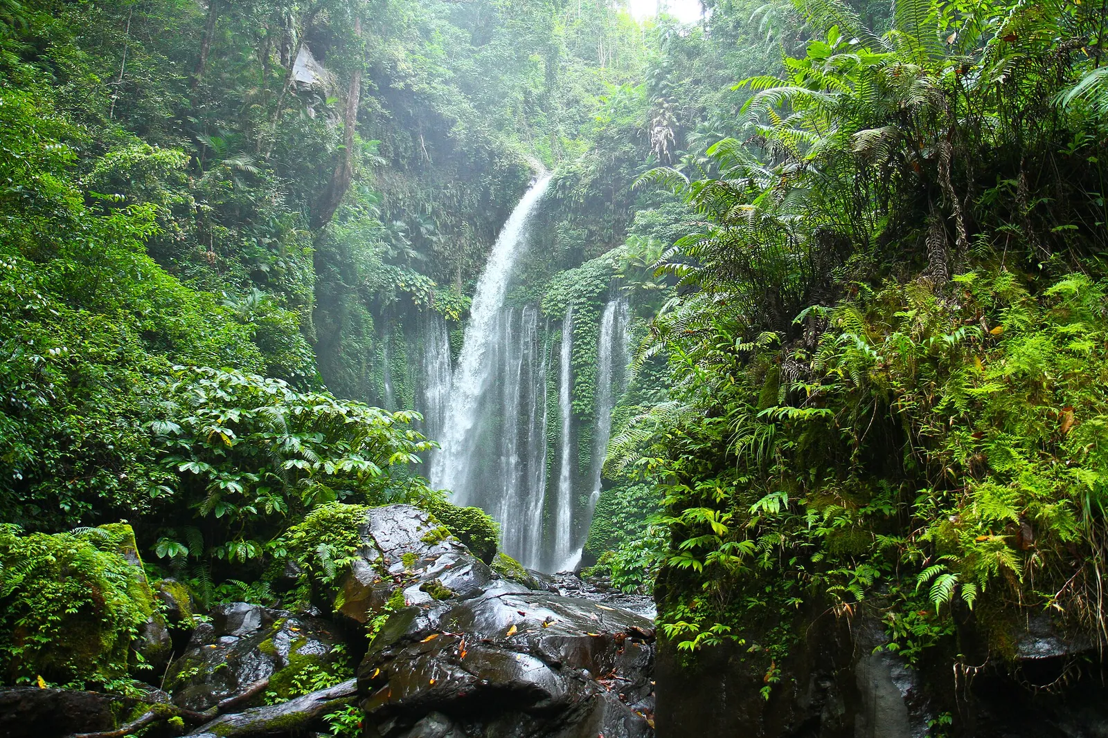 Tiu Kelep waterfall pouring into a pool in green forest near Senaru