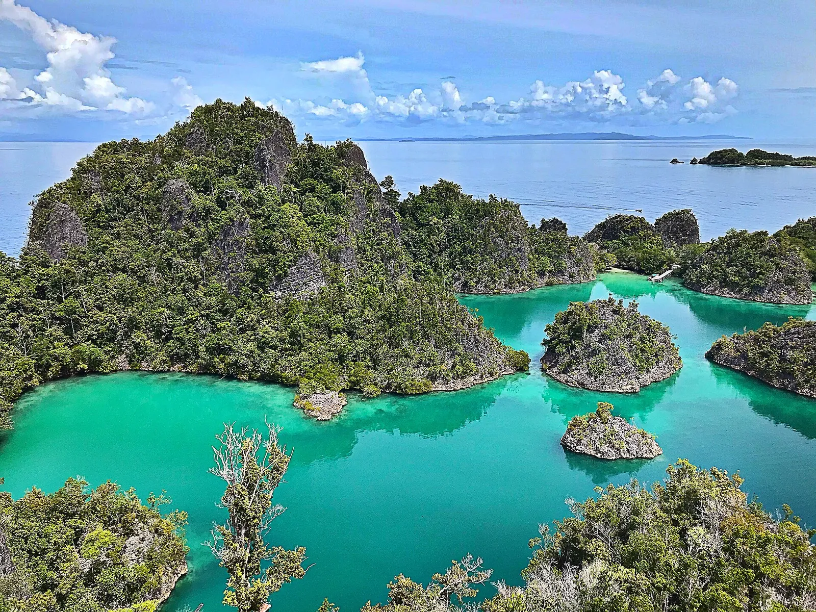 Green karst islets and turquoise lagoons seen from the Piaynemo viewpoint in Raja Ampat