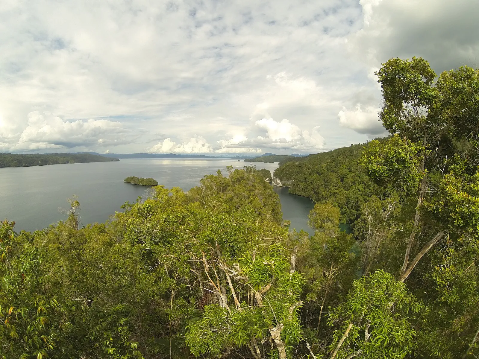 Forested hills and karst islets of Kabui Bay seen from a hilltop on Gam Island, Raja Ampat