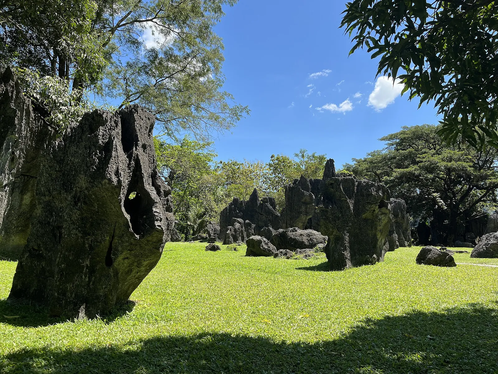 Limestone pinnacles standing on a lawn under trees at the Leang-Leang Archaeological Park in Maros