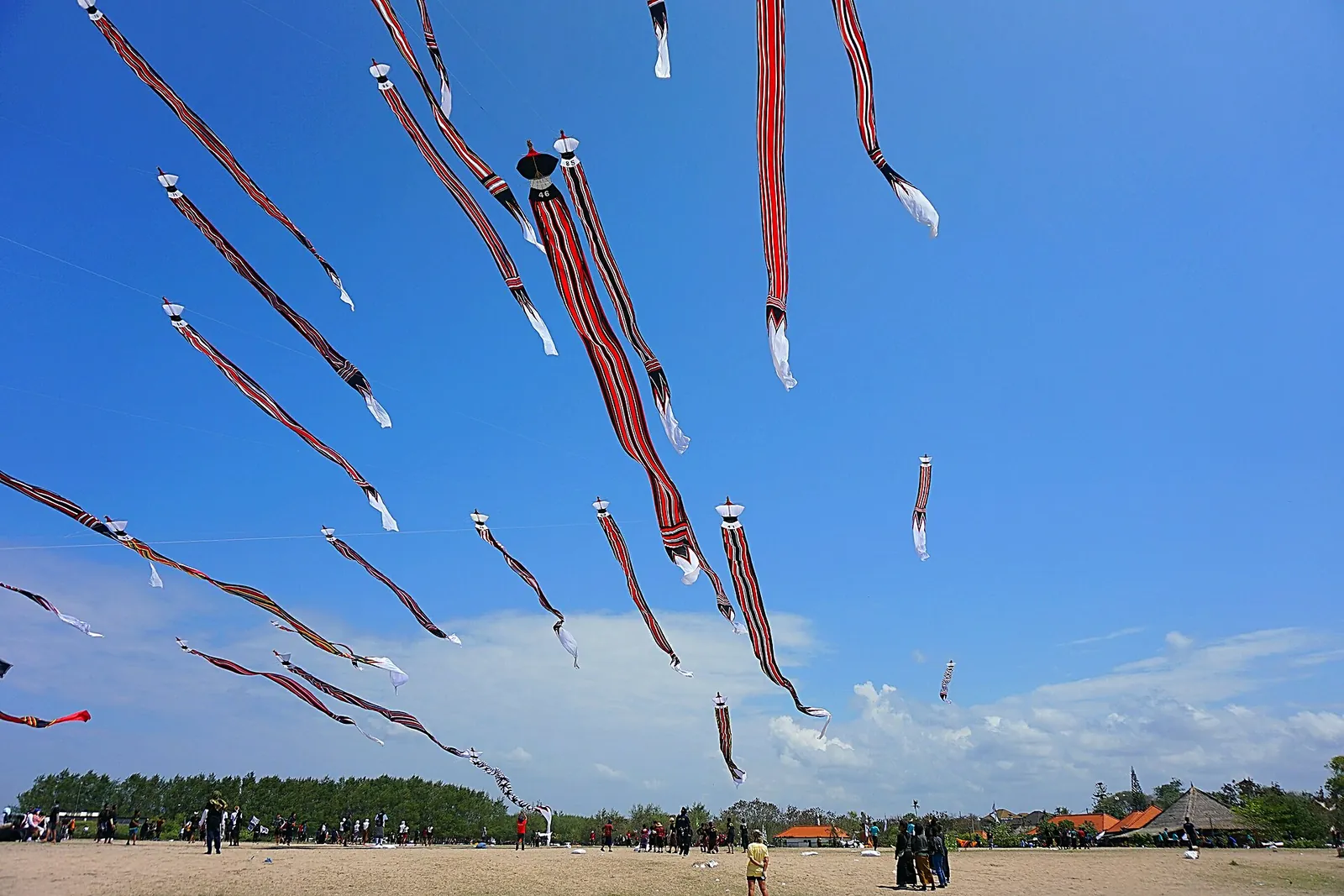 Long traditional Balinese kites with streaming tails flying in a blue sky above a crowd at Mertasari Beach