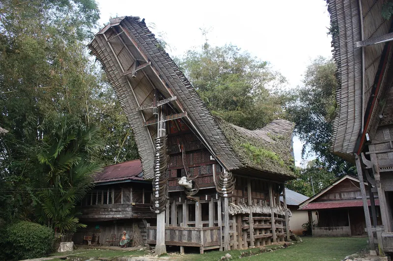 Tongkonan houses with tall curved roofs at Ke'te Kesu' village in Tana Toraja