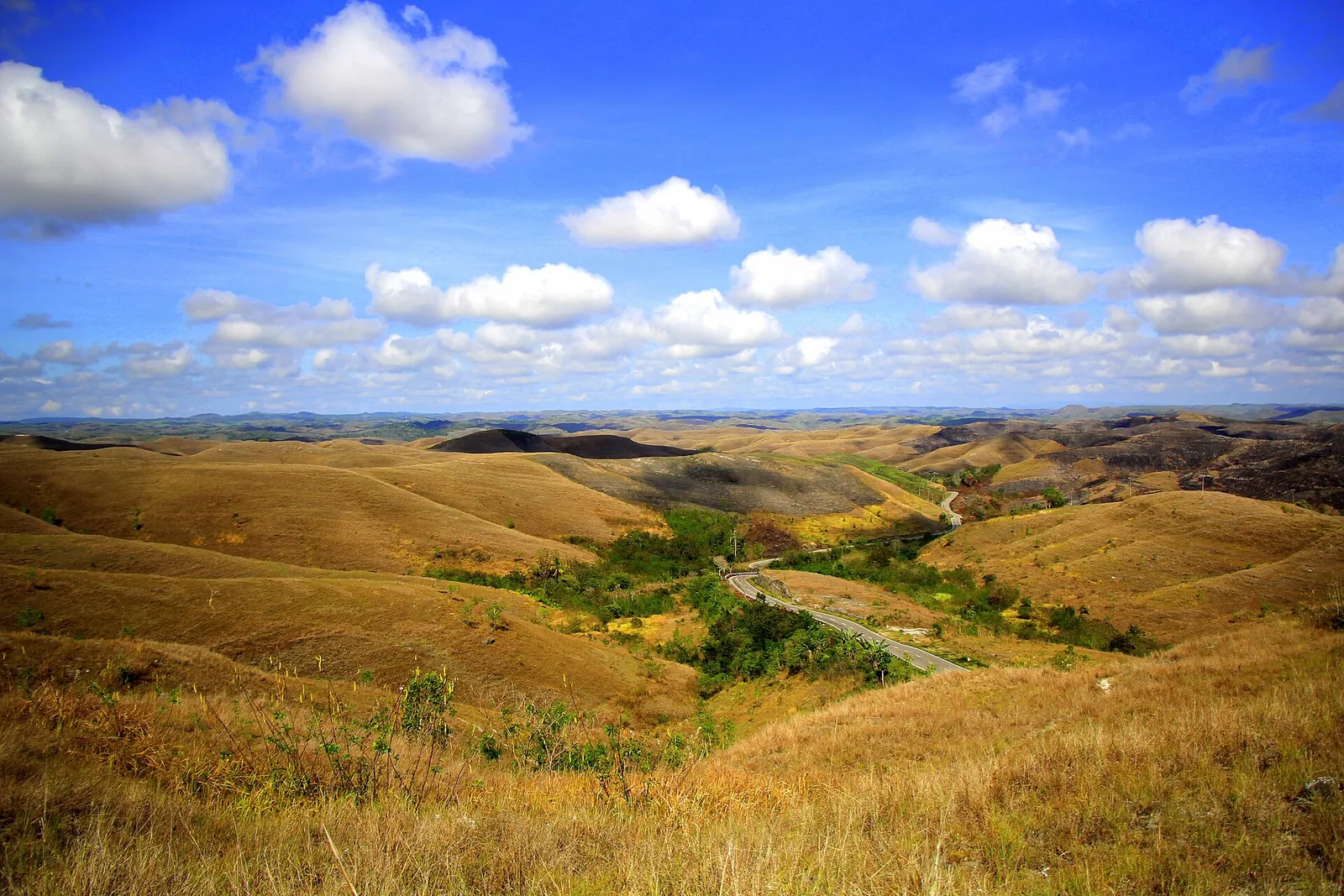 Rolling golden grass hills of Wairinding under a blue sky with white clouds