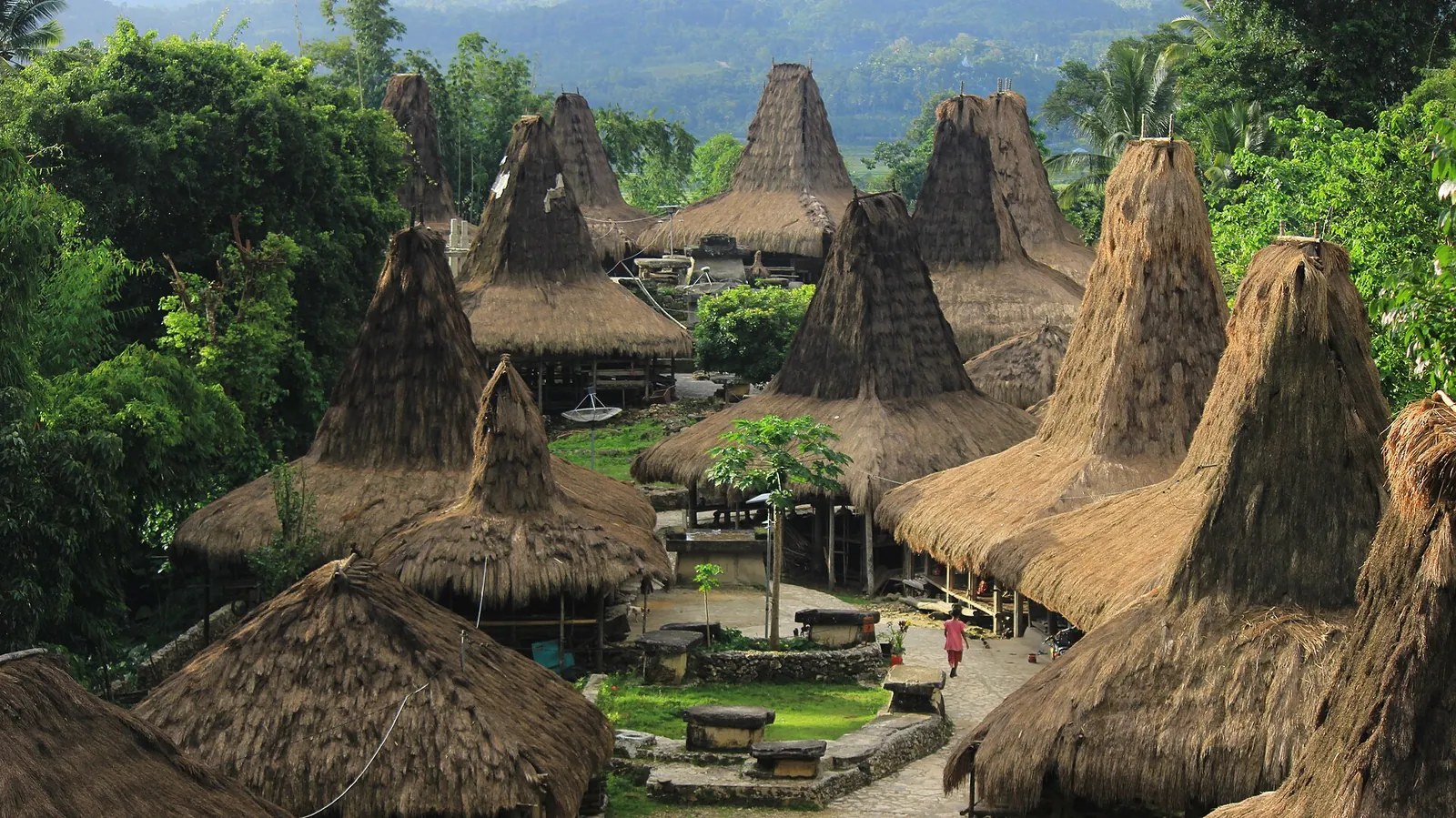 Rows of steep thatched Sumbanese houses and stone tombs seen from above in Praijing village
