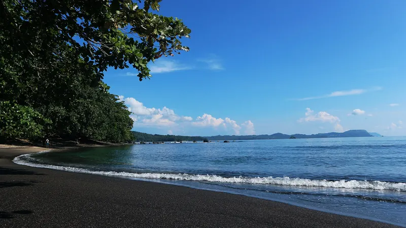 Dark sand beach curving under forested hills at Batuputih, Tangkoko, on a sunny day