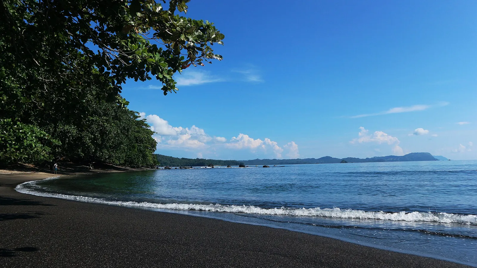 Dark sand beach curving under forested hills at Batuputih, Tangkoko, on a sunny day