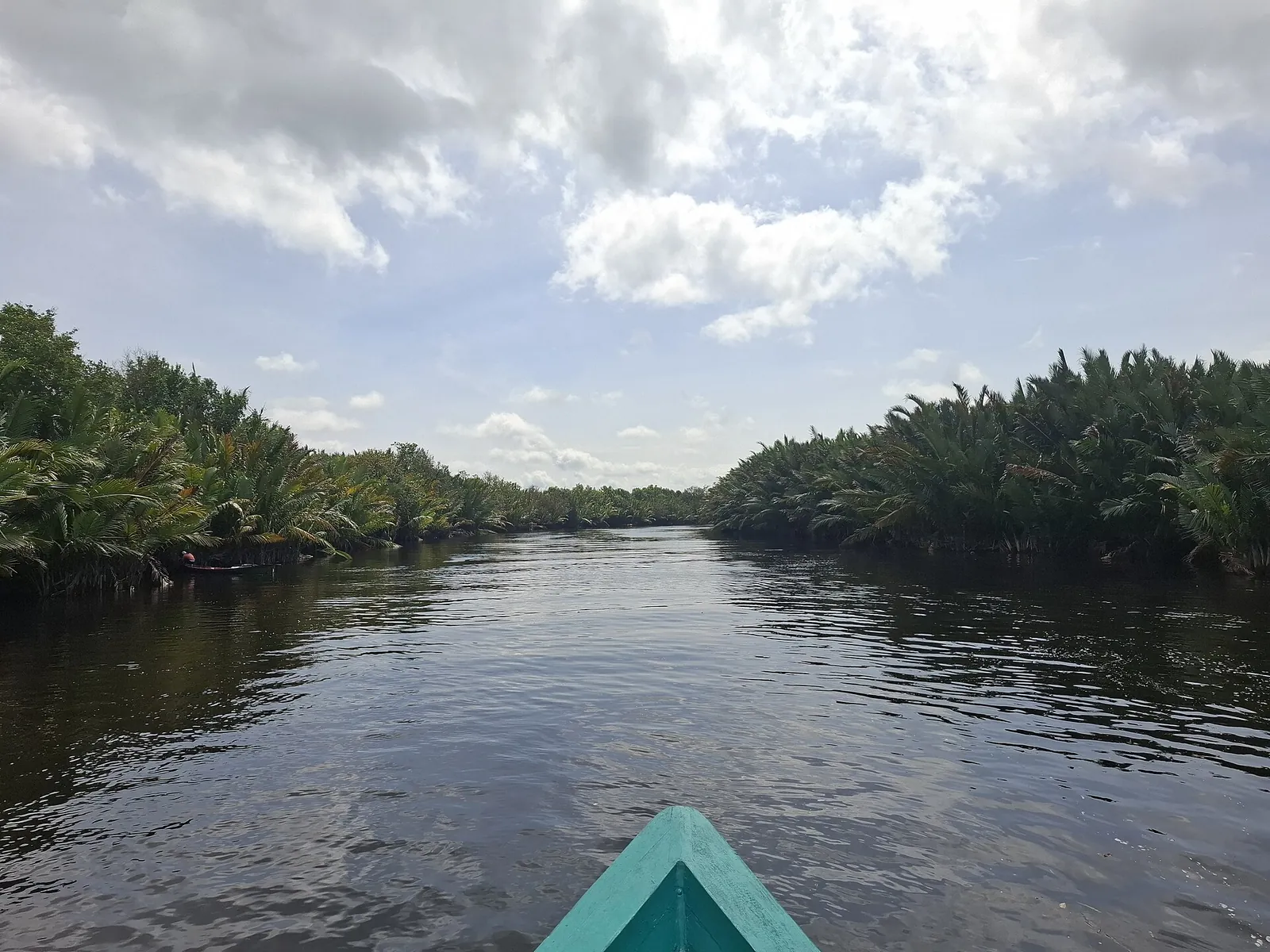The Sekonyer River seen from the bow of a boat, lined with nipa palms under a cloudy sky