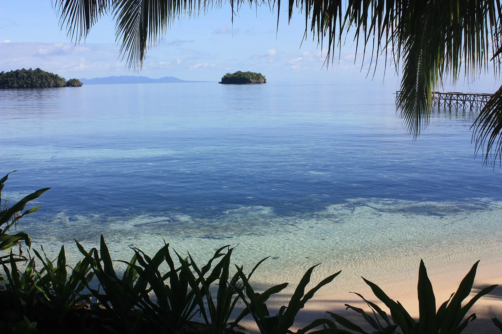 Calm blue sea and small forested islets seen between palm fronds from a beach on Kadidiri Island