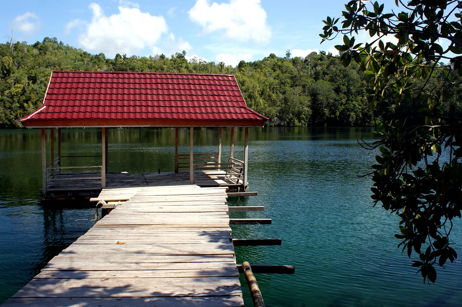 Wooden jetty with a red-roofed shelter over the calm green water of a jellyfish lake, ringed by forest, in the Togean Islands