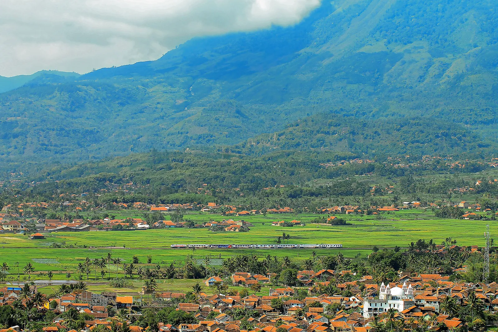 KAI Argo Wilis train running through green rice fields with a village and mountains behind