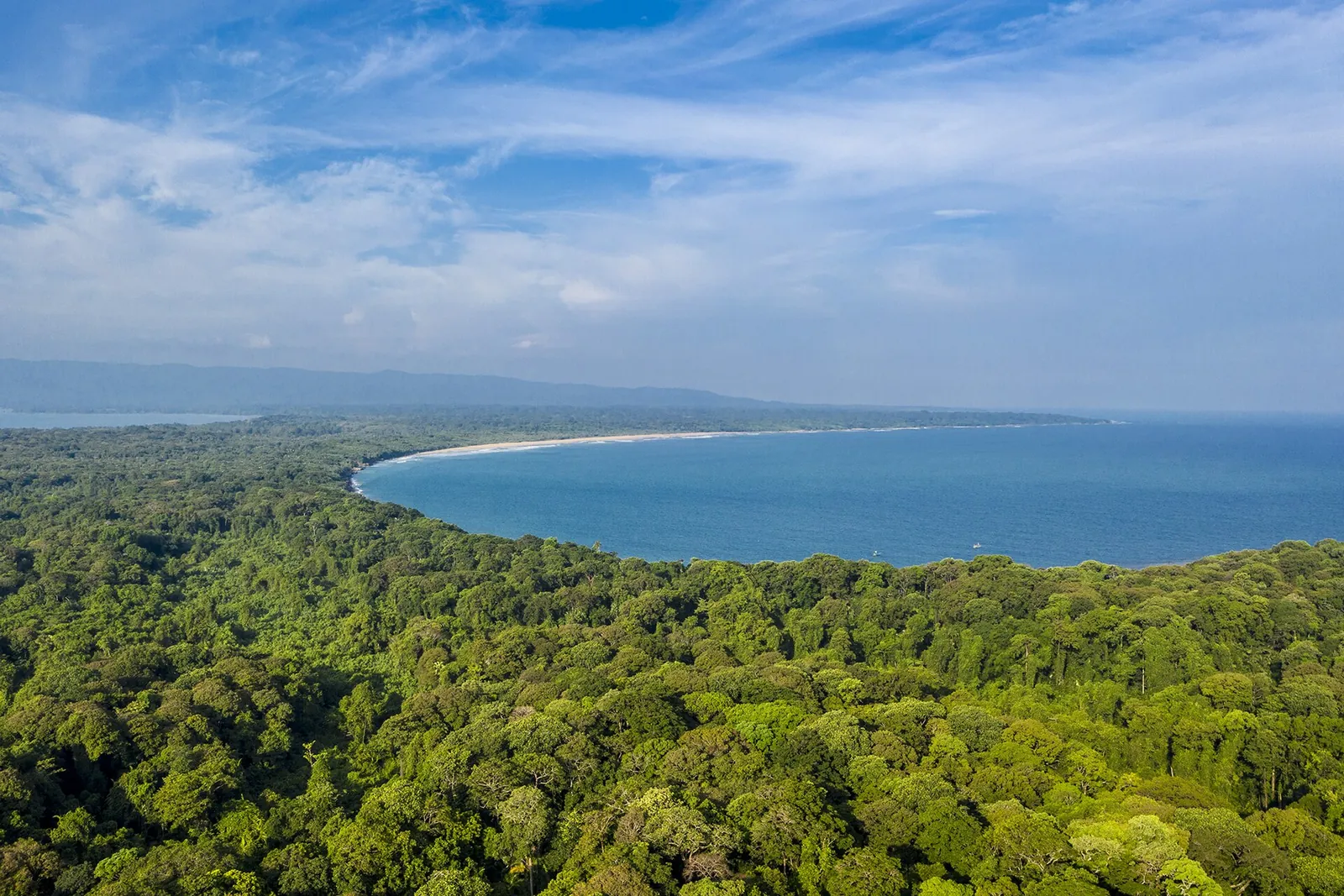 Aerial view of unbroken lowland rainforest meeting a long curved bay on the Ujung Kulon coast