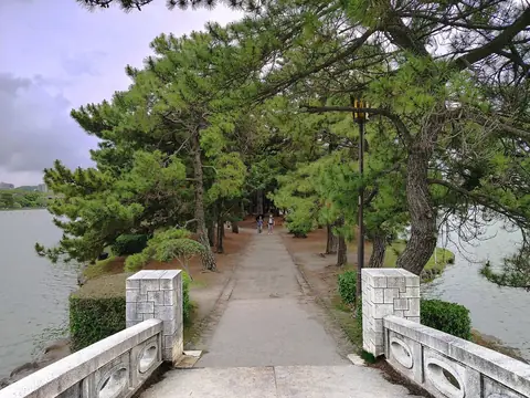 Borovicemi lemovaná cesta a nízký kamenný most na ostrově Matsushima v Ohori Park, s rybníkem po obou stranách