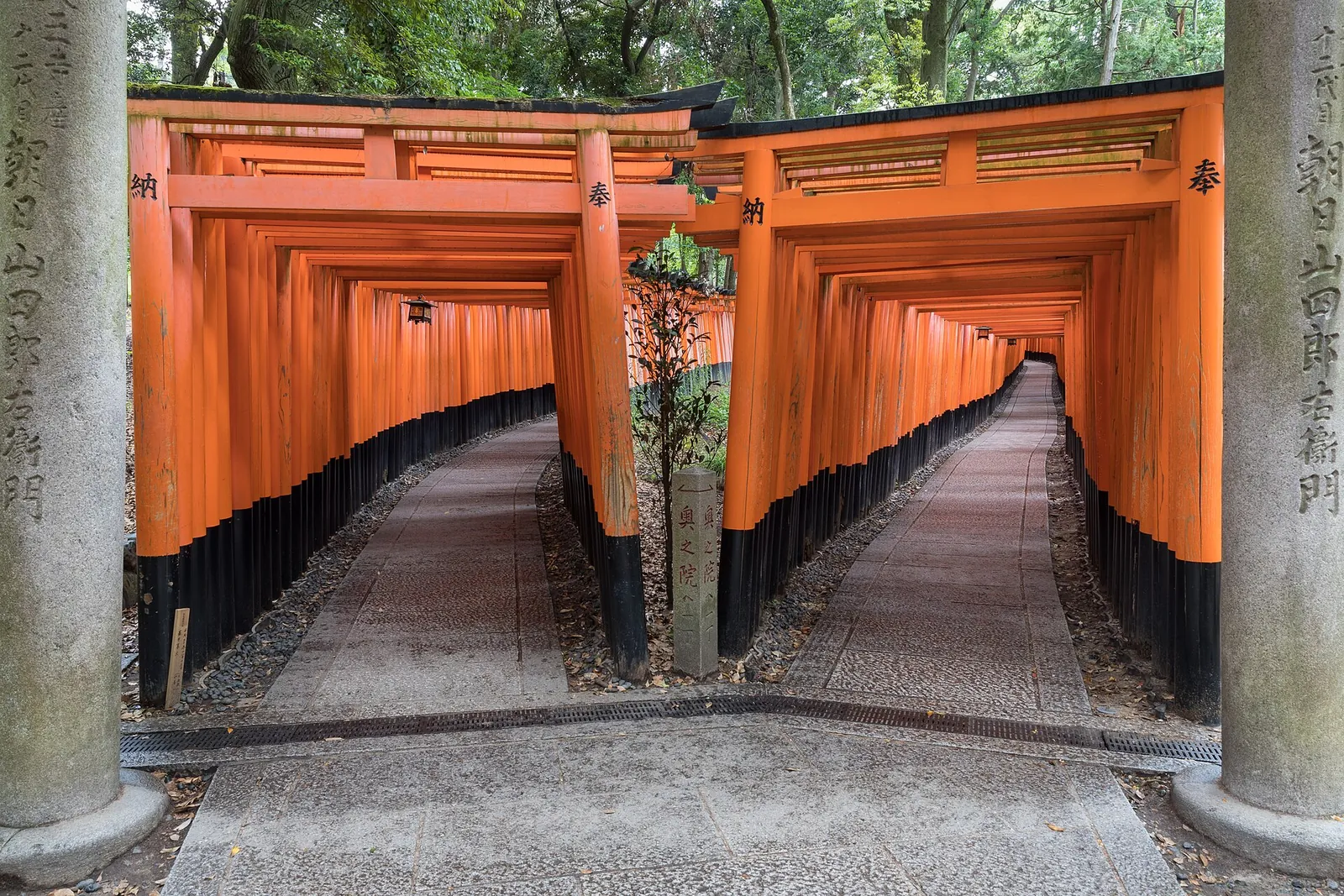 Two parallel paths of bright orange torii gates running uphill through the woods at Fushimi Inari Taisha