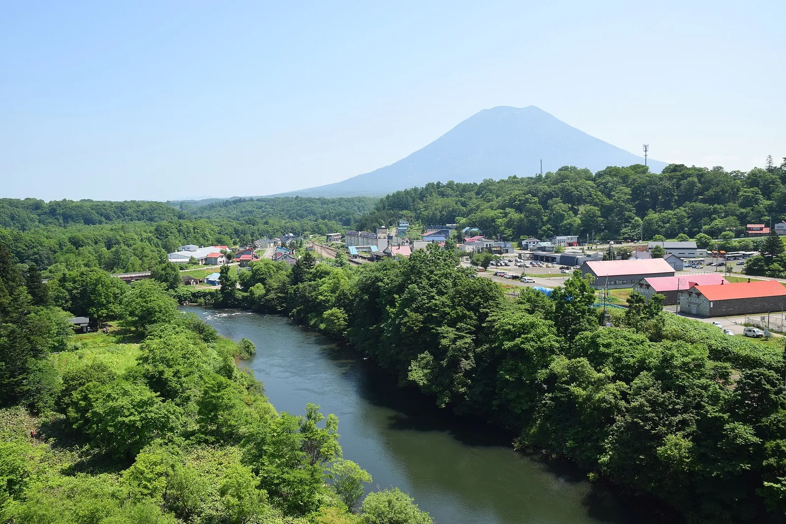 Les podél řeky pod městem Niseko v létě, s kuželem hory Yotei v pozadí
