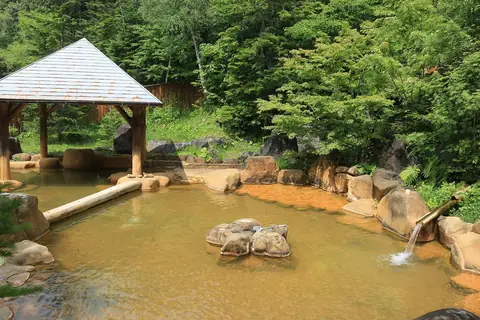 Ein felsgesäumtes Außenbad mit heißer Quelle, gespeist von einem Bambusrohr, mit einem Holzunterstand und grünem Wald dahinter, in Nigorigo Onsen in der Präfektur Gifu