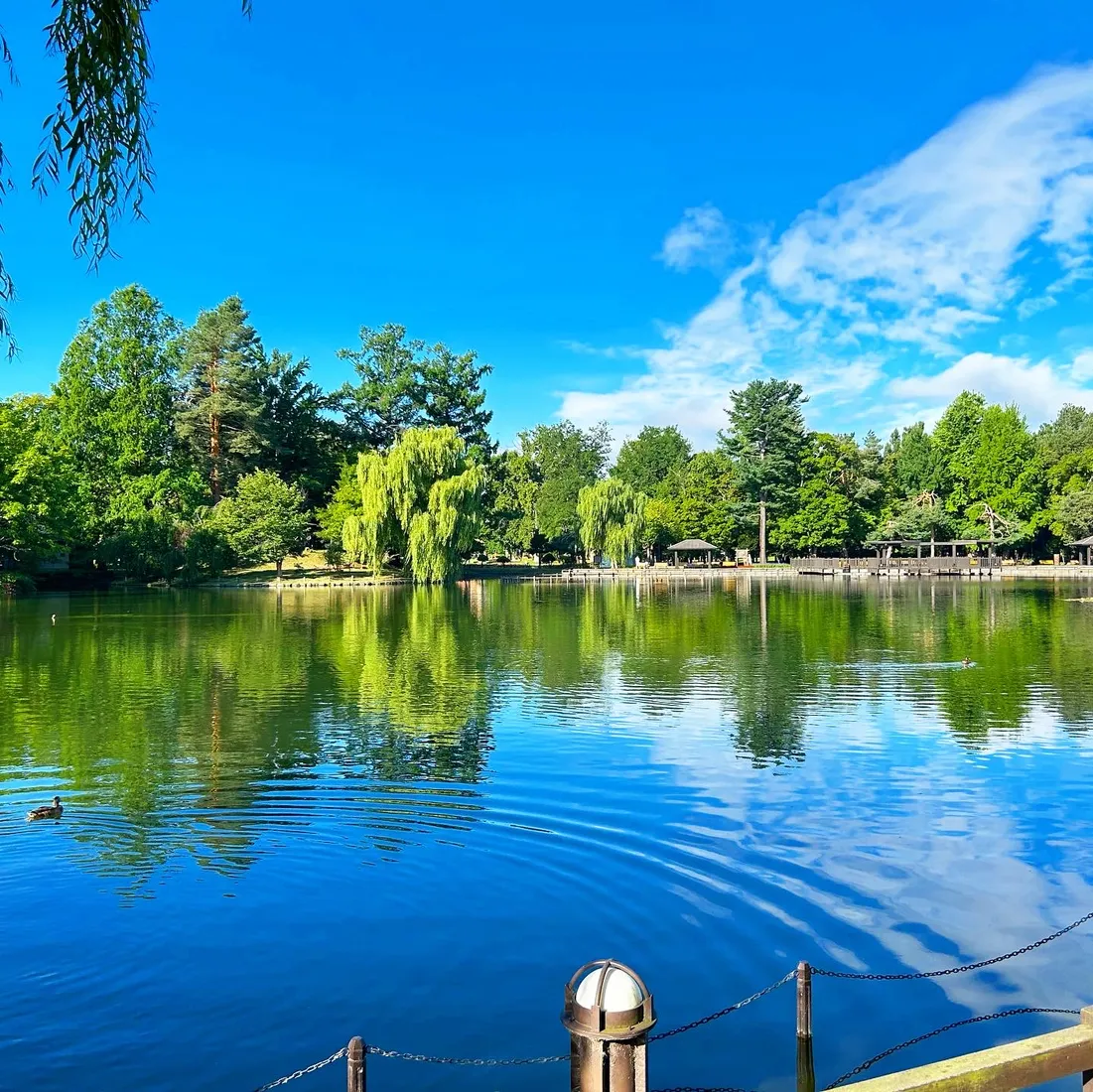 Bäume und ein Teich in einem Park in Asahikawa.