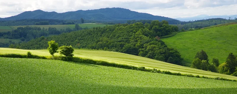 Fields and hills of Biei, Hokkaidō.